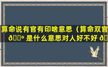 算命说有官有印啥意思（算命双官 🌺 是什么意思对人好不好 🐡 ）